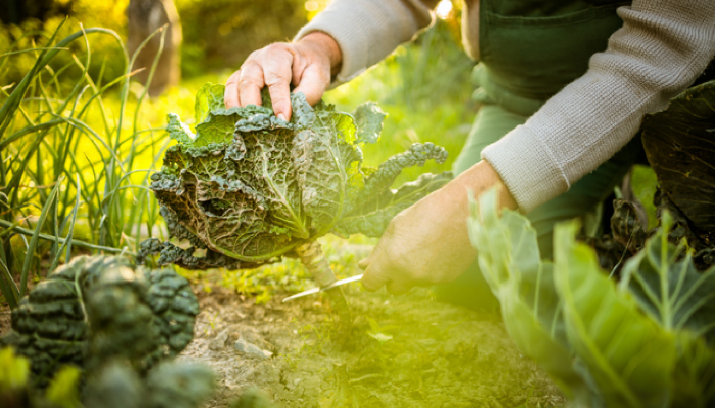 Atelier du Jardin : le meilleur jardinier de Boulogne Billancourt